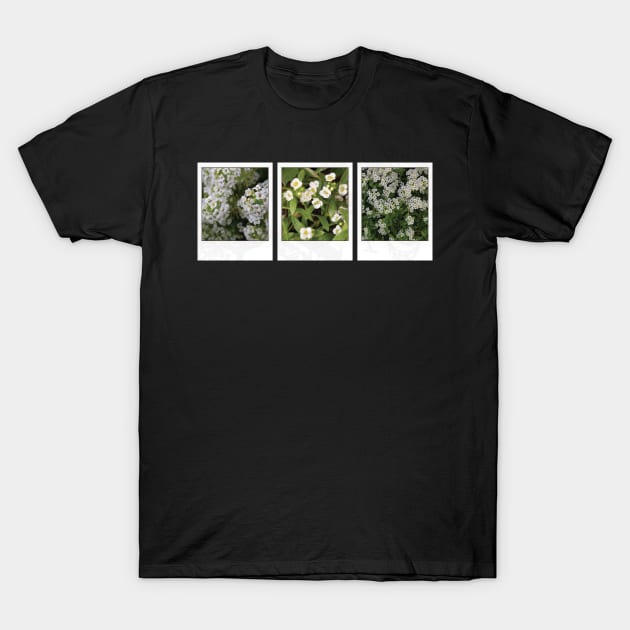 Assylum Photo Collection [white bundle] T-Shirt by deadbeatprince typography